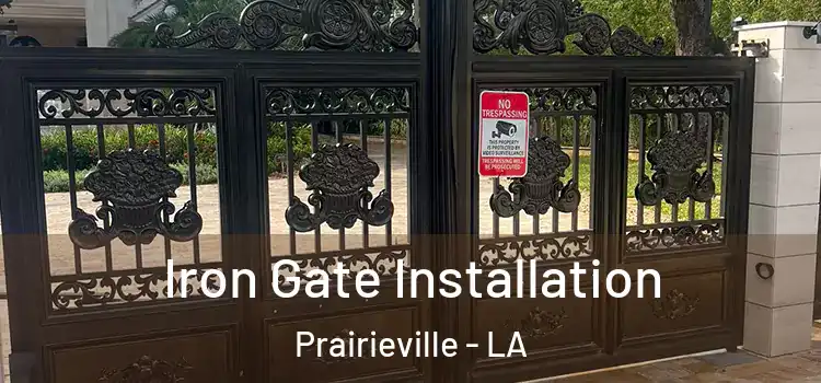 Iron Gate Installation Prairieville - LA