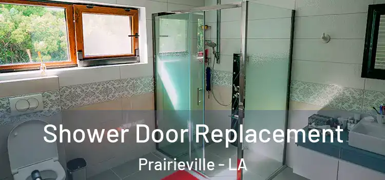 Shower Door Replacement Prairieville - LA